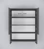 Ella 2 Door, 1 shelf open & 3 Shelf Multipurpose Cabinet with Termite Resistance in Slate Grey Finish