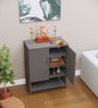 Ella 2 Door, 1 shelf open & 3 Shelf Multipurpose Cabinet with Termite Resistance in Slate Grey Finish