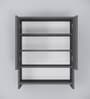 Ella 2 Door, 1 shelf open & 3 Shelf Multipurpose Cabinet with Termite Resistance in Slate Grey Finish