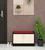 Ella 2 Door Multipurpose Cabinet with Cushion in Highland Pine & Chiyoda Wange Finish