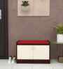 Ella 2 Door Multipurpose Cabinet with Cushion in Highland Pine & Rose Wood Finish