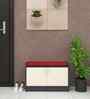 Ella 2 Door Multipurpose Cabinet with Cushion in Highland Pine & Slate Grey Finish