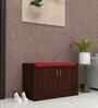 Ella 2 Door Multipurpose Cabinet with Cushion in Rose Wood Finish