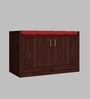 Ella 2 Door Multipurpose Cabinet with Cushion in Rose Wood Finish