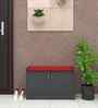 Ella 2 Door Multipurpose Cabinet with Cushion in Slate Grey Finish