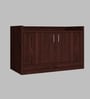 Ella 2 Doors Multipurpose Shoe Cabinet in Rose Wood Finish
