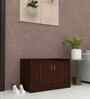Ella 2 Doors Multipurpose Shoe Cabinet in Rose Wood Finish