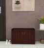 Ella 2 Doors Multipurpose Shoe Cabinet in Rose Wood Finish
