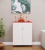 Ella 2 Doors with 4 Shelfs Multipurpose Shoe Rack in Highland Pine & Scarlet Red Finish