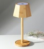Ellis Wood Lamp