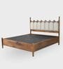 Ellora Upholstered Queen Size Bed In Honey Gold Finish Without Storage