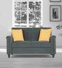 ARRA Elora Fabric 2 Seater Sofa in Grey Colour