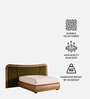 Elowen Softline Queen Size Bed in velvet With Oak wood Frame & Hydraulic Storage