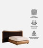 Elowen Softline Queen Size Bed in velvet With Oak wood Frame & Hydraulic Storage