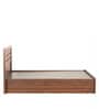 Elsiny King Size Bed with Box Storage in Brown Colour