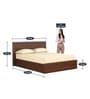 Elsiny King Size Bed with Box Storage in Brown Colour