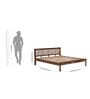Elton Queen Bed In Sheesham Wood Finish