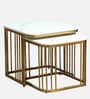 Elvas Metal Nesting Coffee Table Set In Gold Finish with White Porcelain Top (Set of 2)