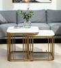 Elvas Metal Nesting Coffee Table Set In Gold Finish with White Porcelain Top (Set of 2)