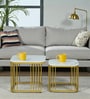 Elvas Metal Nesting Coffee Table Set In Gold Finish with White Porcelain Top (Set of 2)
