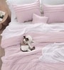 Elysium All Season Comforter With 2 Pillow Covers And 2 Accent Cushions