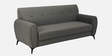 Emiliana Velvet 3 Seater Sofa in Grey Colour