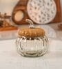 Ember Glass Jar Glass & Acacia Wood with Metal Knob