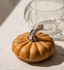 Ember Glass Jar Glass & Acacia Wood with Metal Knob