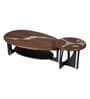 Ember Metal Nesting Coffee Table Set in Brown Finish (Set of 2)