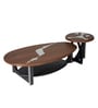 Ember Metal Nesting Coffee Table Set in Brown Finish (Set of 2)