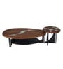Ember Metal Nesting Coffee Table Set in Brown Finish (Set of 2)