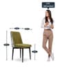 Emil Fabric Dining Chair in Light Green Colour