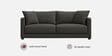 Enchant 2.0 Fabric 3 Seater Sofa In Steel Grey Colour