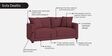 Enchant 2.0 Velvet 2 Seater Sofa In Berry Wine Colour