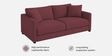 Enchant 2.0 Velvet 3 Seater Sofa In Berry Wine Colour