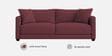 Enchant 2.0 Velvet 3 Seater Sofa In Berry Wine Colour