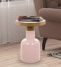 Flamingo Metal End Table in Shiny Pink & Gold Finish