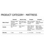 Endure Bonnell Spring & Foam 8 inch Queen Size Mattress