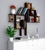 Engineered Wood Book Shelf In Walnut Finish