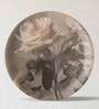 English Floral Porcelain Wall Plate Collection