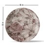 English Floral Porcelain Wall Plate Collection