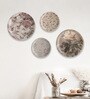 English Floral Porcelain Wall Plate Collection