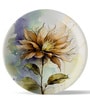 English Floral Porcelain Wall Plate