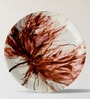 English Flower Porcelain Wall Plate Collection