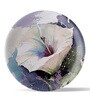 English Flower Porcelain Wall Plate Collection