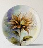 English Flower Porcelain Wall Plate Collection