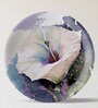 English Flower Porcelain Wall Plate Collection