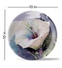English Flower Porcelain Wall Plate Collection