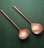 Enigma Rose Gold Stainless Steel (Set of 2) Serving Cutlery