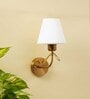 Concave Brass Metal and Glass Wall Sconces